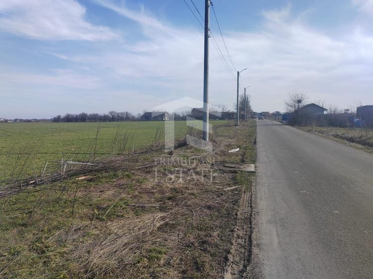 Teren de 1023 mp, în Cernica