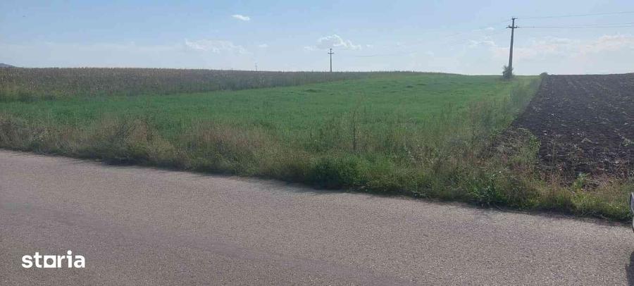 Teren de 5800 mp, în Luna