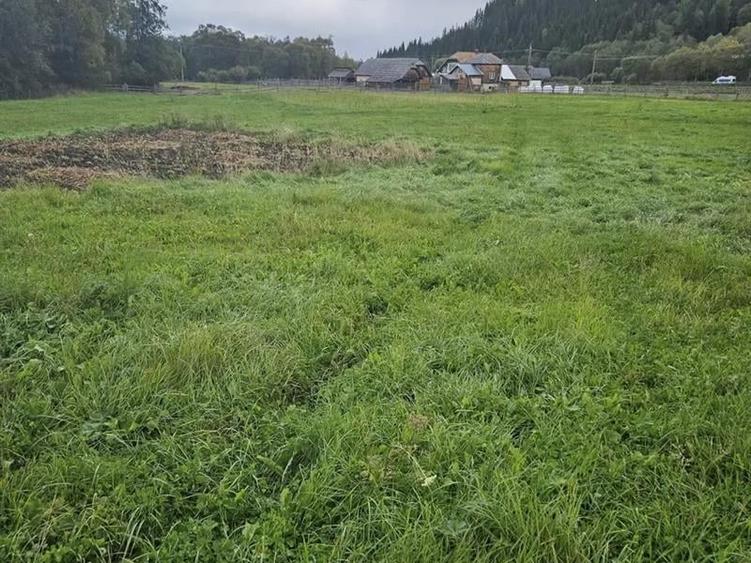 Teren Construcții intravilan de 5908 mp, în Poiana Stampei