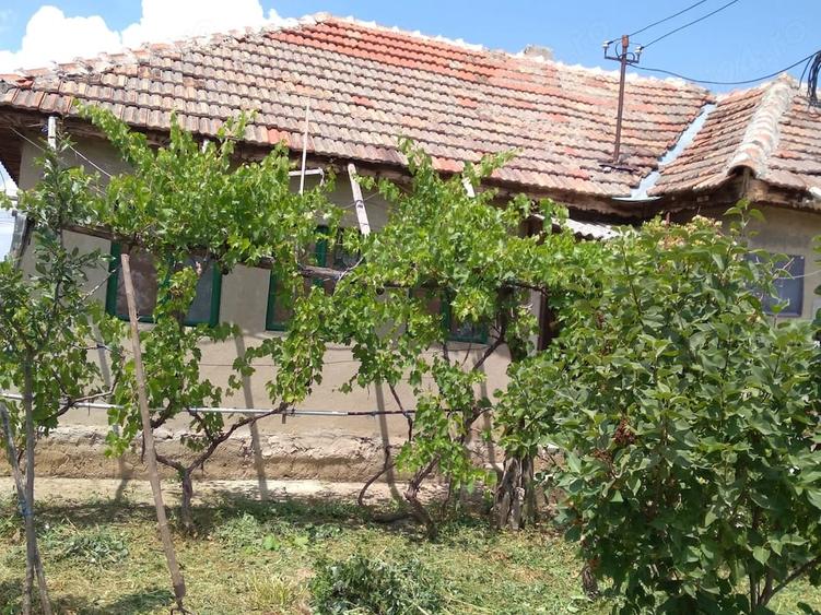 Casă cu 3 camere în Central