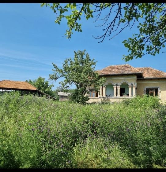 Casă individuală cu 5 camere cu Teren 9000 Mp în Valea lui Enache