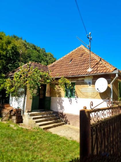 Casă cu 2 camere în Central