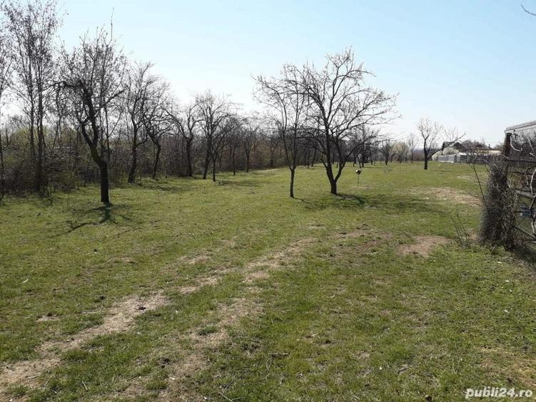 Teren de 1559 mp, în Cocoșești