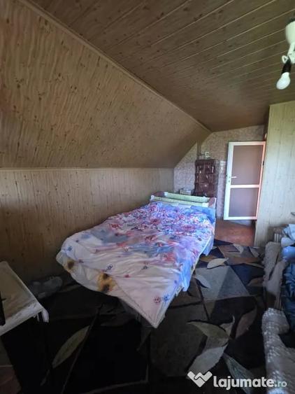 Casa de vacan?a in Fundata, Bra?ov 3.300 mp teren, acces direct din DN73 - 19