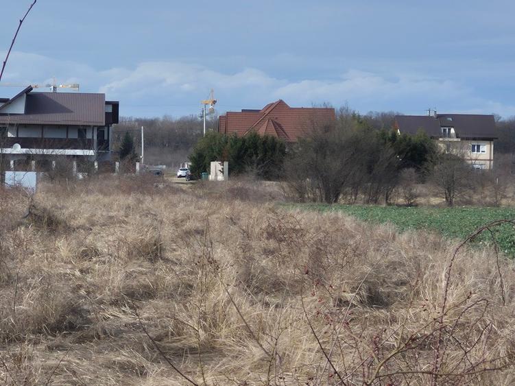 Teren cu gaz si electrica-hotar, 28000 E, padure - 2