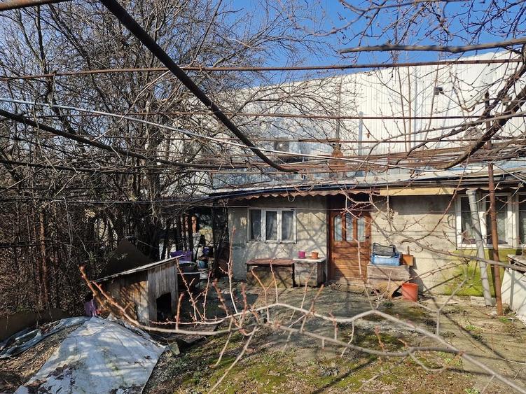 Casă cu Teren 229 Mp în Băneasa