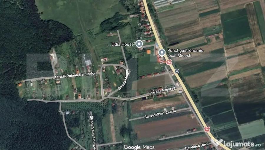 Teren de 4200 mp, în Șard