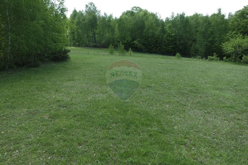 Teren extravilan de 15726 mp, în Preluca Nouă