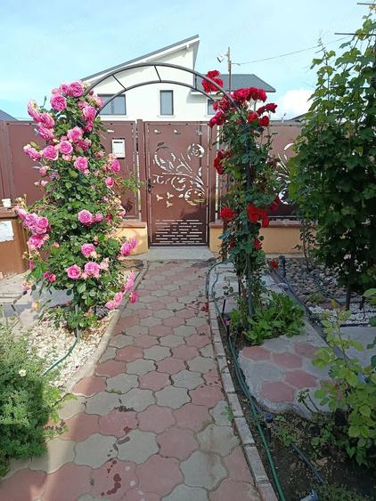 Casă cu Teren 500 Mp în Cazasu