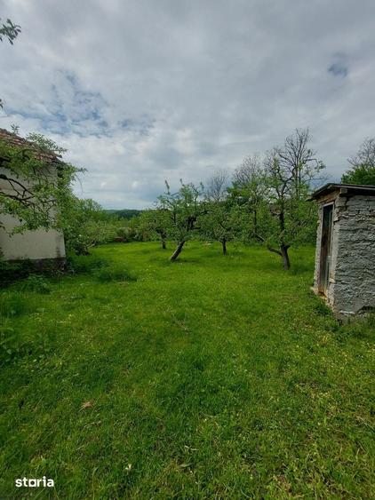 Vanzare casa si teren, sat Laicai - comuna Ceta?eni, jude?ul Arges - 2