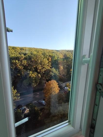 Apartament cu 2 camere decomandat, mobilat în Mănăștur