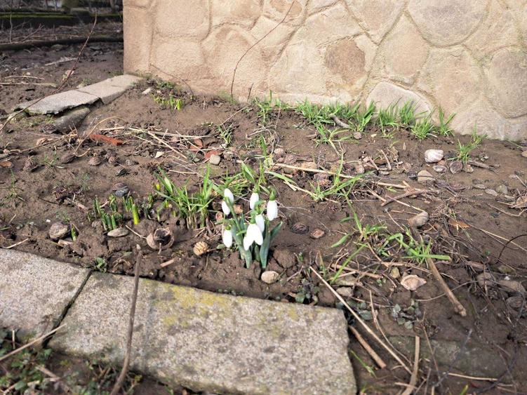 Casă cu 3 camere în Vărbila