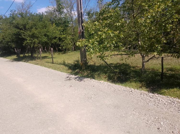 Teren de 10472 mp, în Central