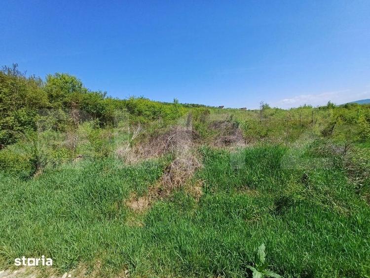 Teren de 6200 mp, în Viișoara