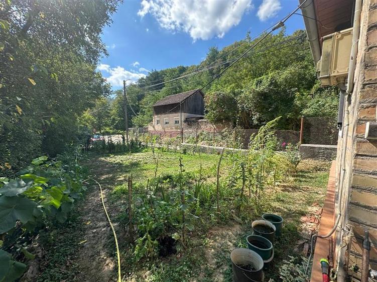 Bocsa Montana, Casa Cocheta de Vacanta sau investitie, Zona Pitoreasca - 24