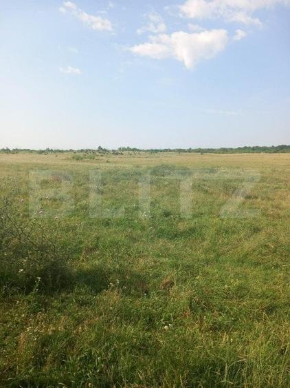 Teren Construcții intravilan de 5000 mp, în Industrială