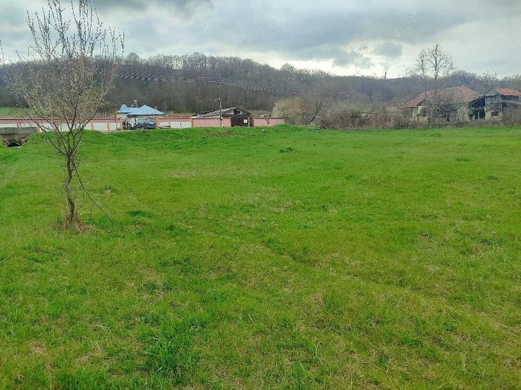 Teren de 3750 mp, în Verdea