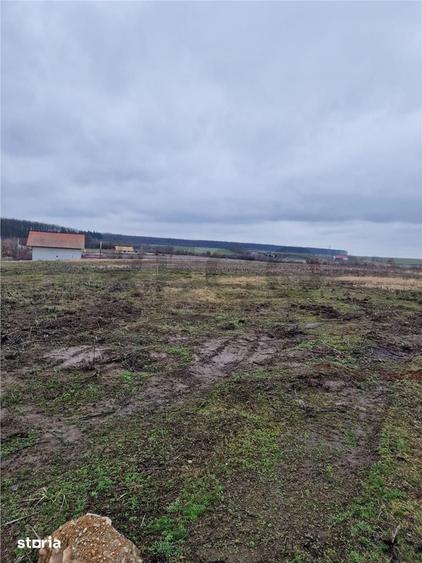 Teren de 500 mp, în Nojorid
