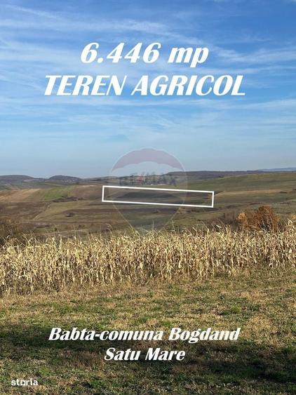 Spațiu comercial, în Babța