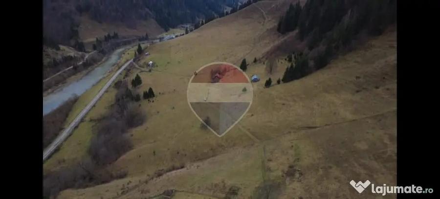 Teren în Rusca
