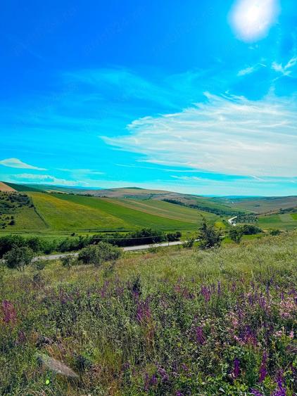 Teren de 2900 mp, în Central
