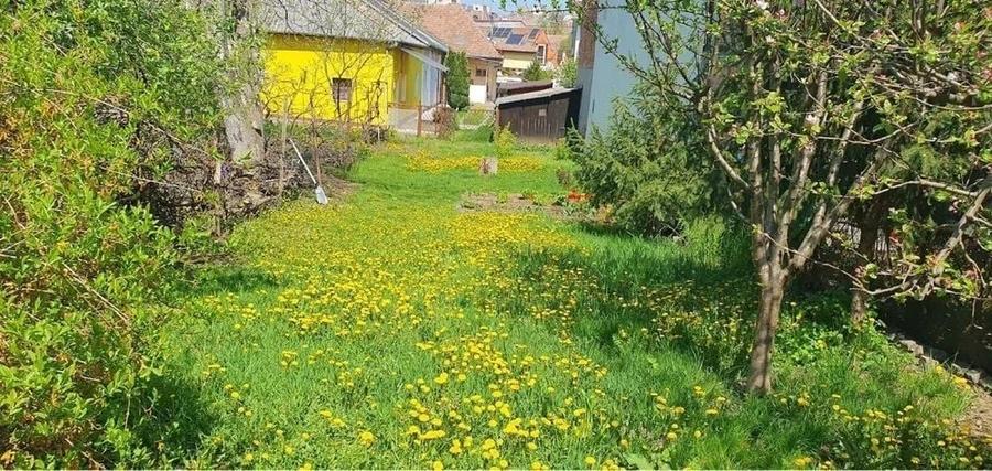 Casă cu 2 camere cu Teren 100 Mp în Central