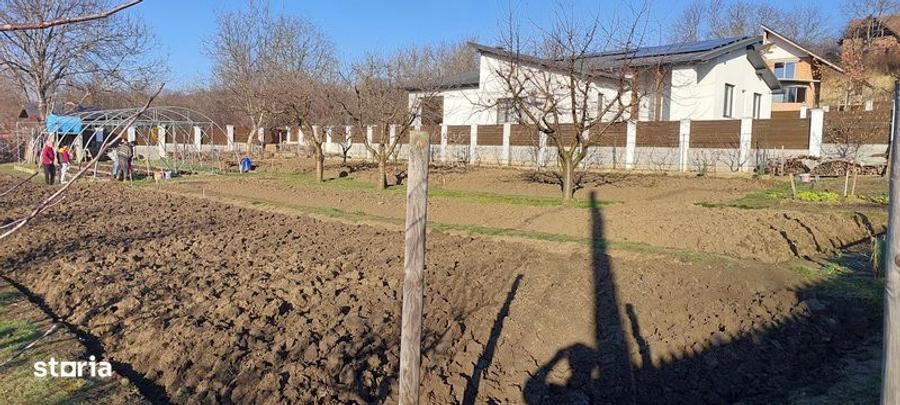 Teren de 650 mp, în Crăciunești