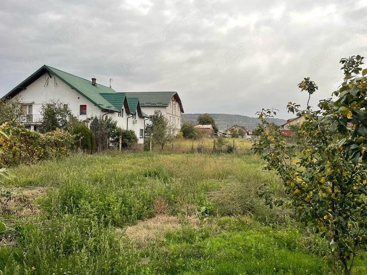 Teren de 3200 mp, în Ștefănești