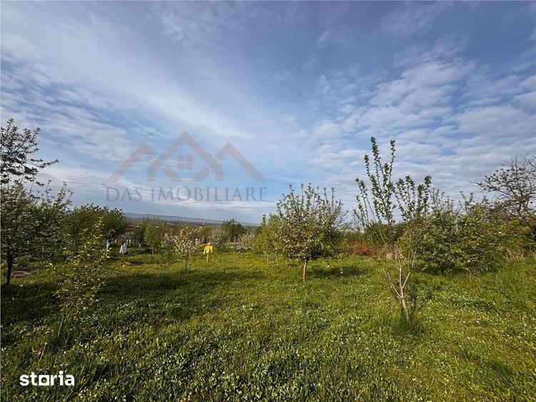 Casă cu 4 camere cu Teren 2341 Mp în Cicârlău