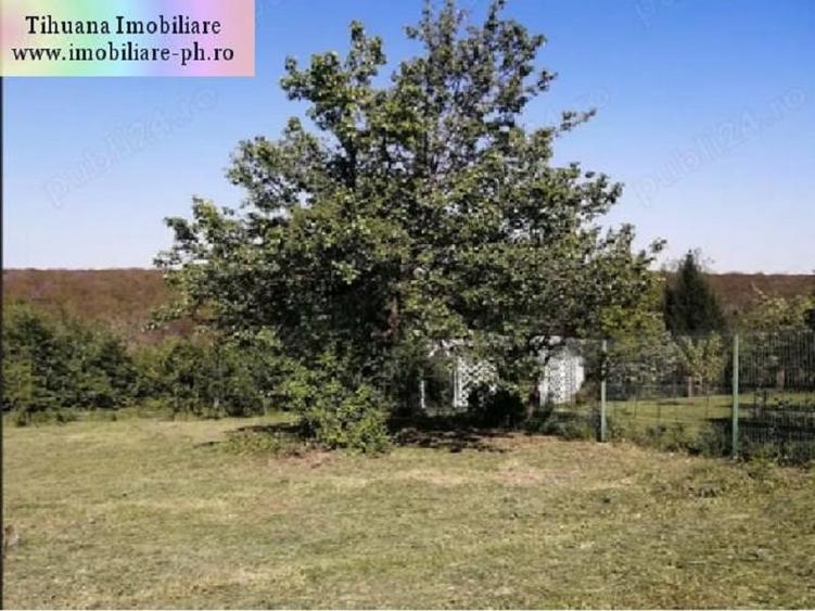 Teren Construcții intravilan de 1700 mp, în Cocoșești