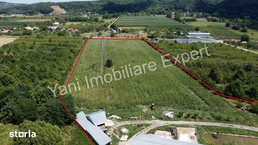 Teren de 40672 mp, în Cepari