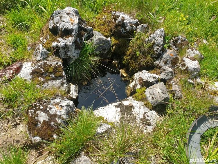 Teren de 1000 mp, în Dâmbovicioara
