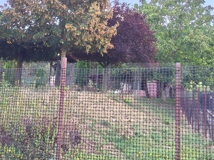 Teren agricol extravilan de 6500 mp, în Mihai Viteazu