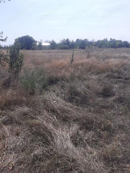 Teren de 6881 mp, în Odaia Banului