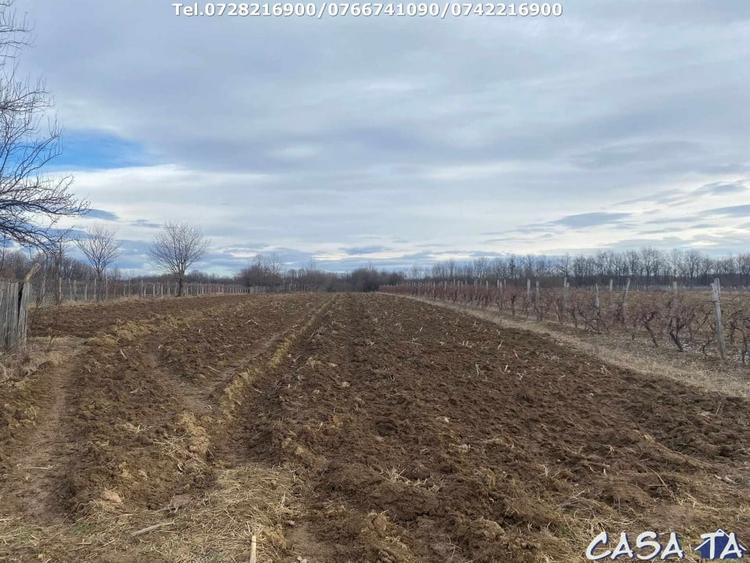 Casă individuală cu 3 camere cu Teren 3300 Mp în Exterior Vest