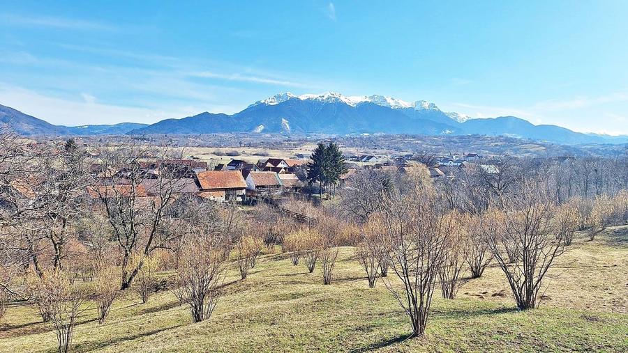 Teren Construcții extravilan de 17000 mp, în Tohanu Nou