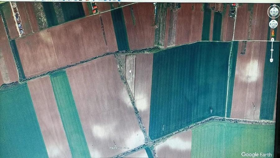 Teren de 8000 mp, în Moara Vlăsiei