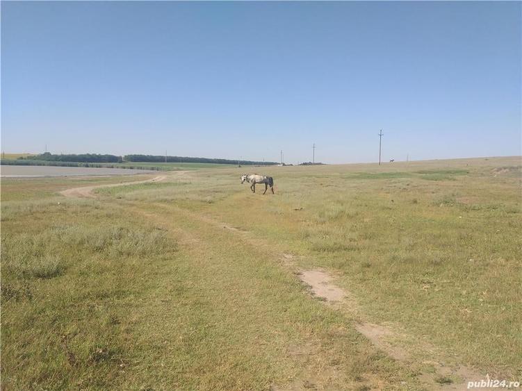 Teren de 3000 mp, în Murighiol