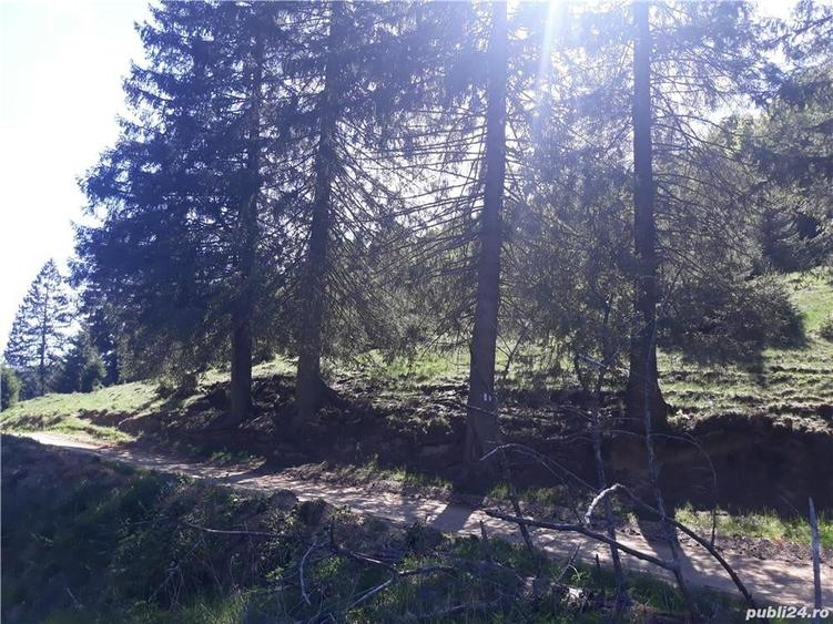 Teren de 4000 mp, în Poiana Brașov
