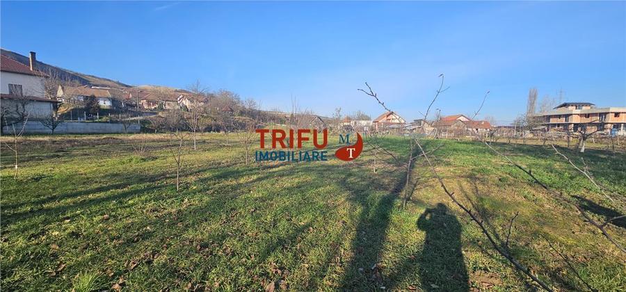 Teren Construcții intravilan de 2200 mp, în Ampoi 1