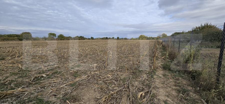 Teren agricol extravilan de 3600 mp, în Amați