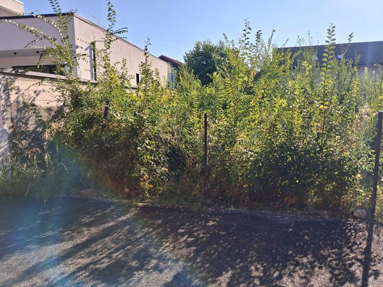 Vand teren Corbeanca Laguna Albastra 624mp 85000 Euro - 4