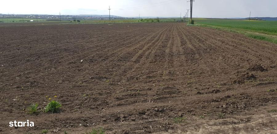 Vand teren zona Cismea/Luizoaia - Botosani - 3