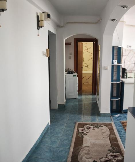 Apartament cu 2 camere decomandat în Paltin