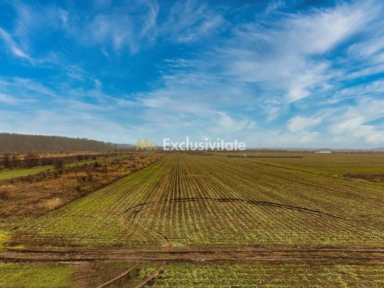 Teren intravilan 5040 mp, deschidere dubla - 2