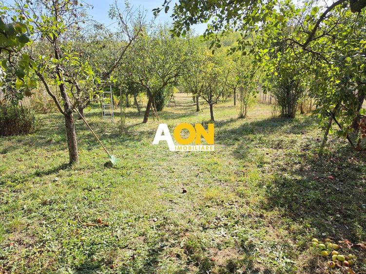 Casă individuală cu 3 camere cu Canalizare în Ciugud