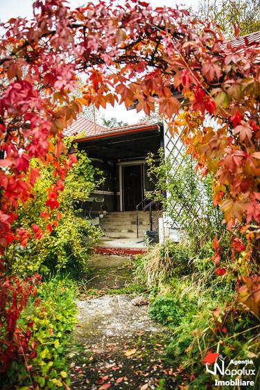 Casă individuală cu 4 camere cu Teren 4774 Mp în Tiocu de Jos