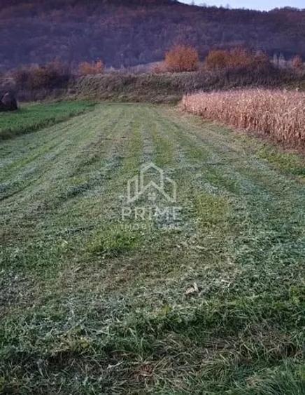 Teren de 708 mp, în Tău