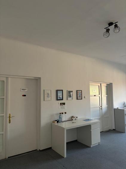 MÂNTULEASA | VILĂ EXCLUSIVISTĂ ÎN CENTRUL BUCUREȘTIULUI – 1.100.000 € - 51