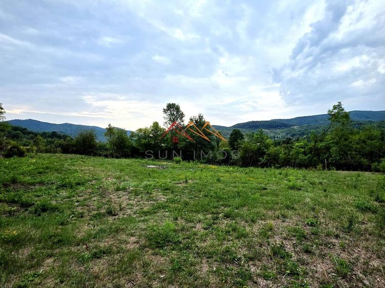 Teren Construcții intravilan de 2600 mp, în Drăgăneasa